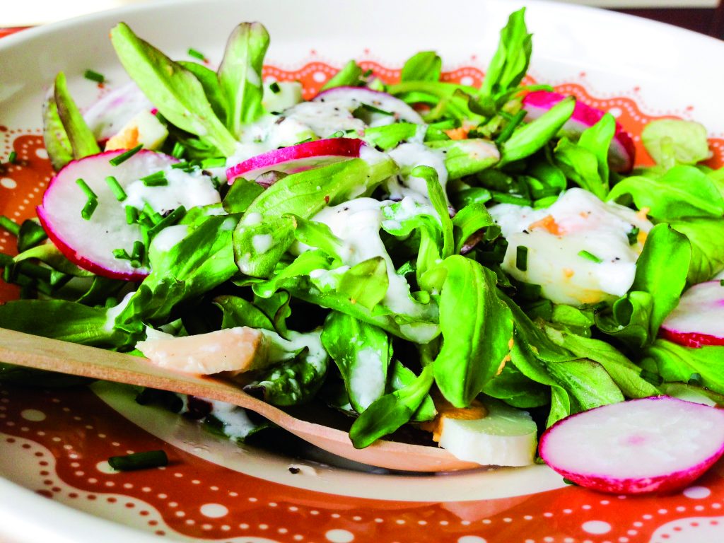 Spring salad with mildly hot kefir dressing - KEFIRKO