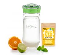 kefir fermenter