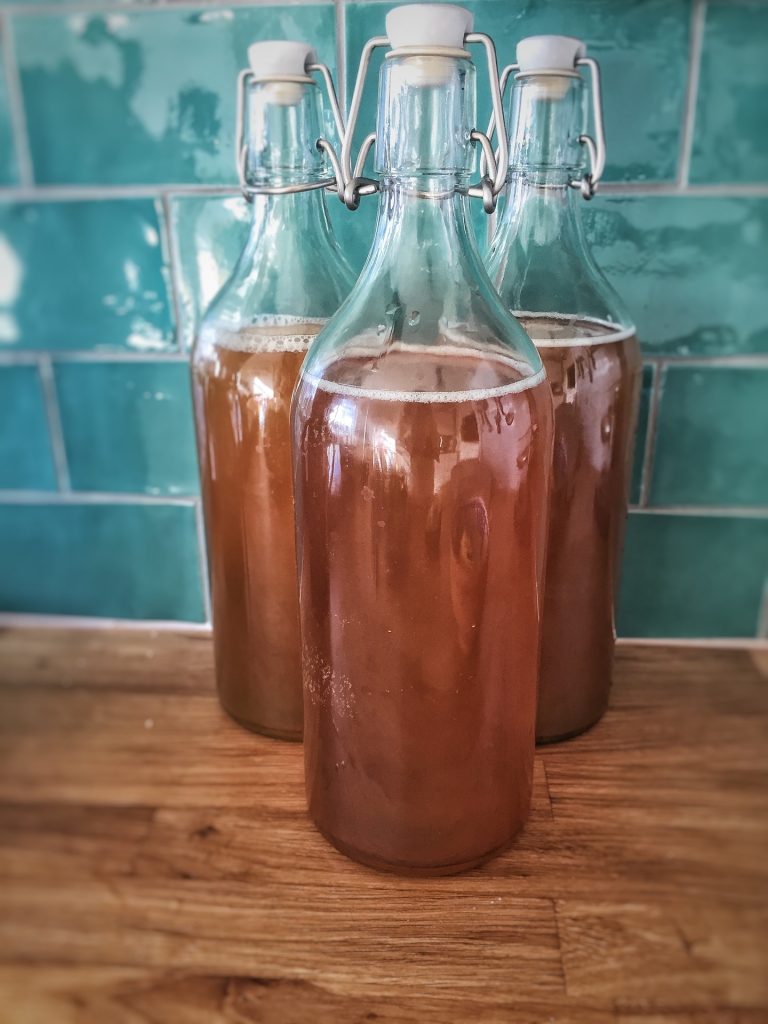 bottled fizzy kombucha