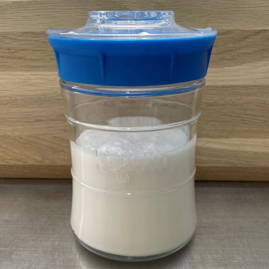 fermented coconut kefir