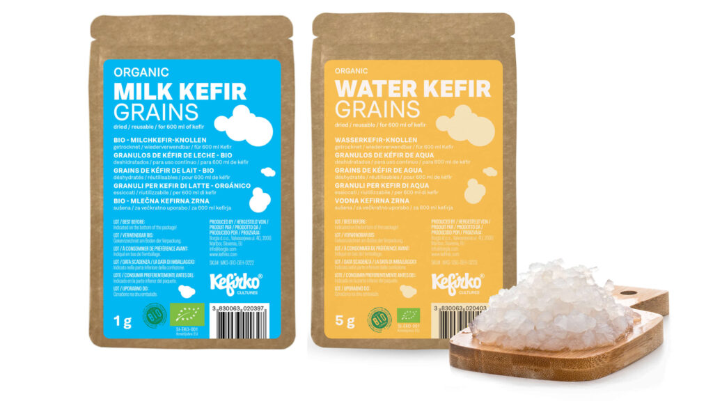 kefir grains